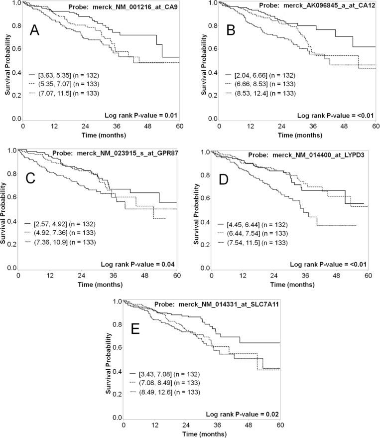 https://cdn.ncbi.nlm.nih.gov/pmc/blobs/7b5e/5768334/ce383c6dd99a/oncotarget-08-113373-g007.jpg