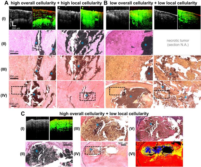 https://cdn.ncbi.nlm.nih.gov/pmc/blobs/7b5e/8058715/6708290bbac8/thnov11p5620g002.jpg