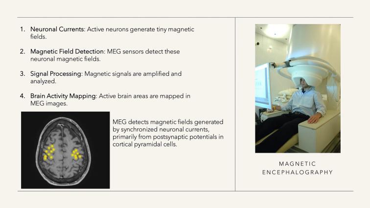 https://cdn.ncbi.nlm.nih.gov/pmc/blobs/7b5f/11747149/eb6ff284e4b1/fonc-14-1481430-g006.jpg