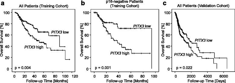 https://cdn.ncbi.nlm.nih.gov/pmc/blobs/7b5f/5290668/c145c1f51c42/13148_2017_317_Fig3_HTML.jpg