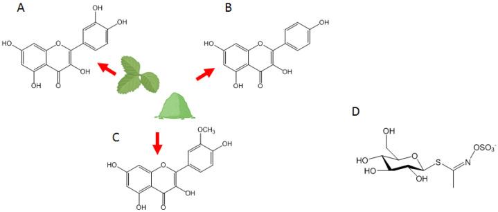 https://cdn.ncbi.nlm.nih.gov/pmc/blobs/7b64/10818603/015ccb7330f5/nutrients-16-00253-g001.jpg