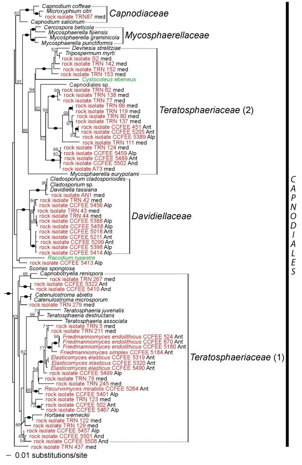 https://cdn.ncbi.nlm.nih.gov/pmc/blobs/7b64/2816969/217a898f2310/123fig3.jpg