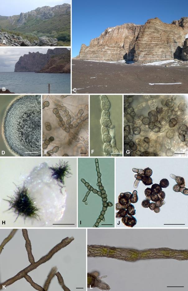 https://cdn.ncbi.nlm.nih.gov/pmc/blobs/7b64/2816969/3ce05ccb3403/123fig1.jpg