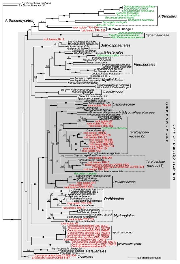 https://cdn.ncbi.nlm.nih.gov/pmc/blobs/7b64/2816969/91bea402afe3/123fig4.jpg