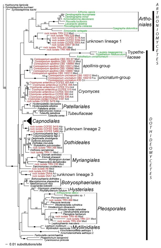https://cdn.ncbi.nlm.nih.gov/pmc/blobs/7b64/2816969/a7036304404d/123fig2.jpg