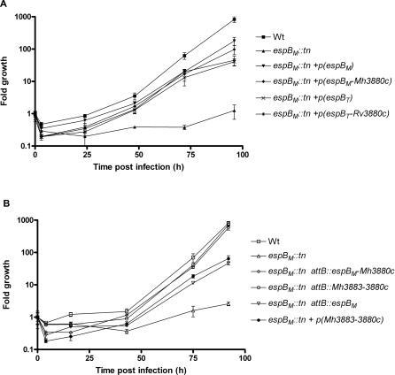 https://cdn.ncbi.nlm.nih.gov/pmc/blobs/7b67/1959366/9cc8e03306c7/ppat.0030105.g001.jpg