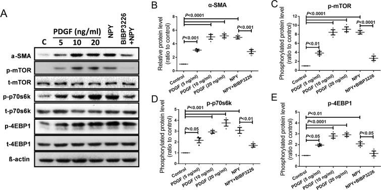 https://cdn.ncbi.nlm.nih.gov/pmc/blobs/7b6a/6602956/57be00490e98/41598_2019_45932_Fig4_HTML.jpg