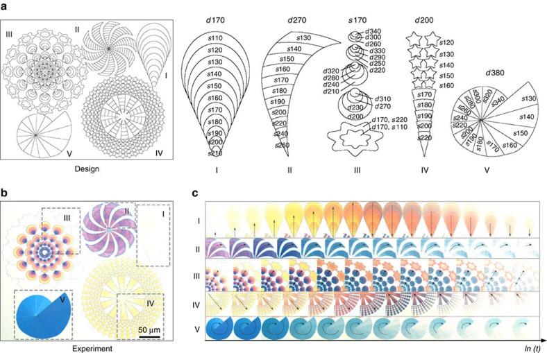 https://cdn.ncbi.nlm.nih.gov/pmc/blobs/7b6b/5333121/72e41fec47de/ncomms14606-f3.jpg