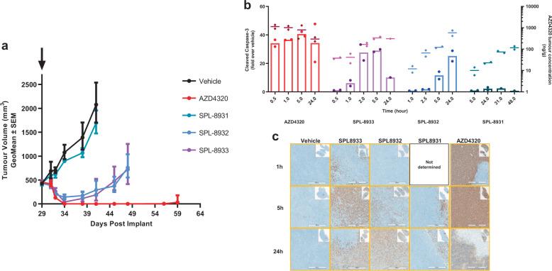 https://cdn.ncbi.nlm.nih.gov/pmc/blobs/7b6b/7835349/b05e063c9555/42003_2020_1631_Fig3_HTML.jpg