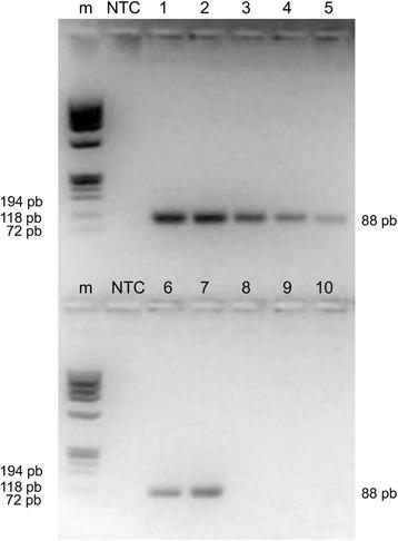 https://cdn.ncbi.nlm.nih.gov/pmc/blobs/7b6c/5434583/8b3cd2c2dc69/13071_2017_2181_Fig5_HTML.jpg