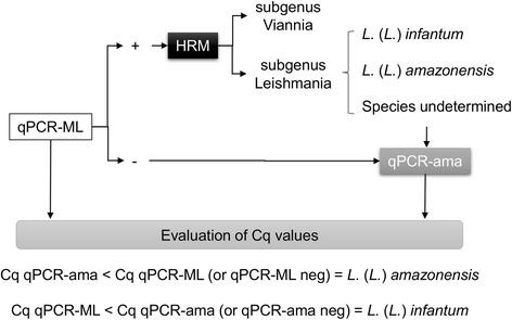 https://cdn.ncbi.nlm.nih.gov/pmc/blobs/7b6c/5434583/935eb7f13896/13071_2017_2181_Fig6_HTML.jpg