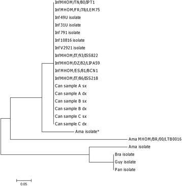 https://cdn.ncbi.nlm.nih.gov/pmc/blobs/7b6c/5434583/94d613883637/13071_2017_2181_Fig2_HTML.jpg