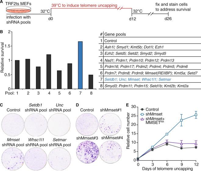 https://cdn.ncbi.nlm.nih.gov/pmc/blobs/7b6e/7299843/ee42ae910c99/41388_2020_1334_Fig1_HTML.jpg