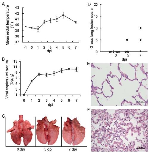 https://cdn.ncbi.nlm.nih.gov/pmc/blobs/7b70/3157269/1ae154971834/ijbsv07p0947g01.jpg