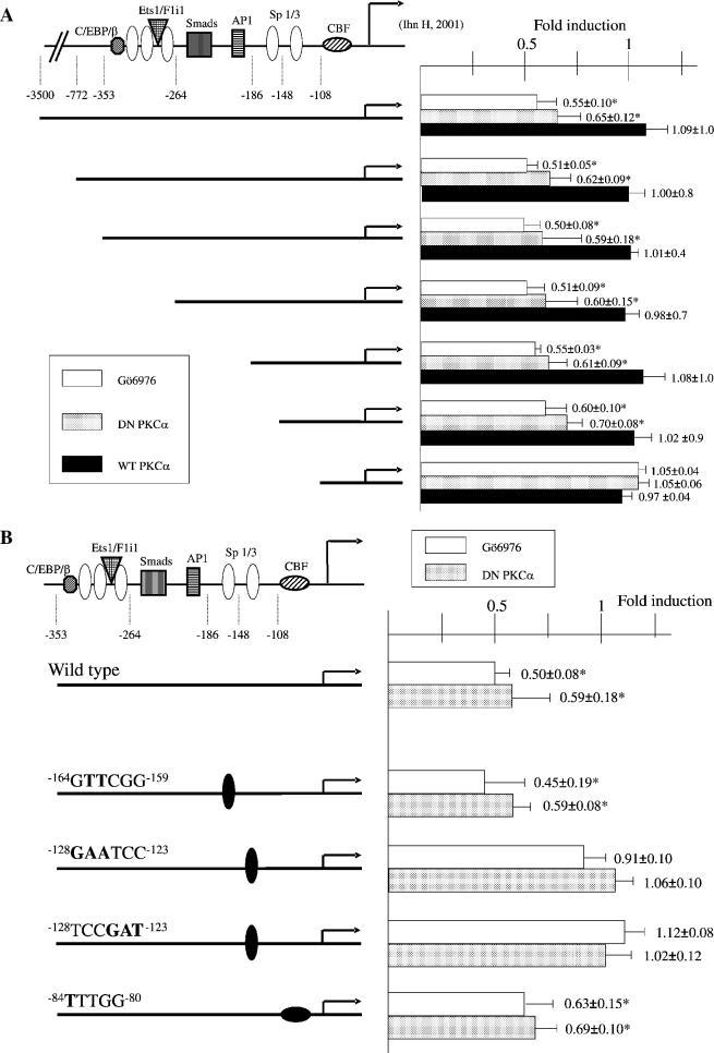 https://cdn.ncbi.nlm.nih.gov/pmc/blobs/7b70/552962/b7f8ca59b330/gki275f1a.jpg