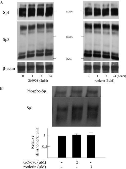 https://cdn.ncbi.nlm.nih.gov/pmc/blobs/7b70/552962/eb70ddf5355e/gki275f2a.jpg