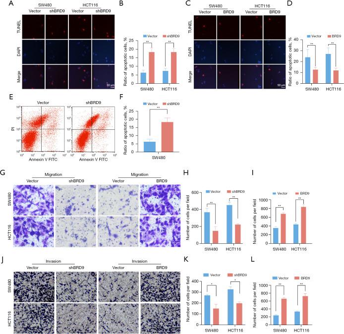 https://cdn.ncbi.nlm.nih.gov/pmc/blobs/7b71/10186543/c7eb5e55f04c/jgo-14-02-980-f3.jpg