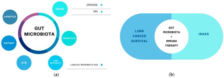 https://cdn.ncbi.nlm.nih.gov/pmc/blobs/7b71/11120070/9ec8e29795d3/cancers-16-01806-g001.jpg
