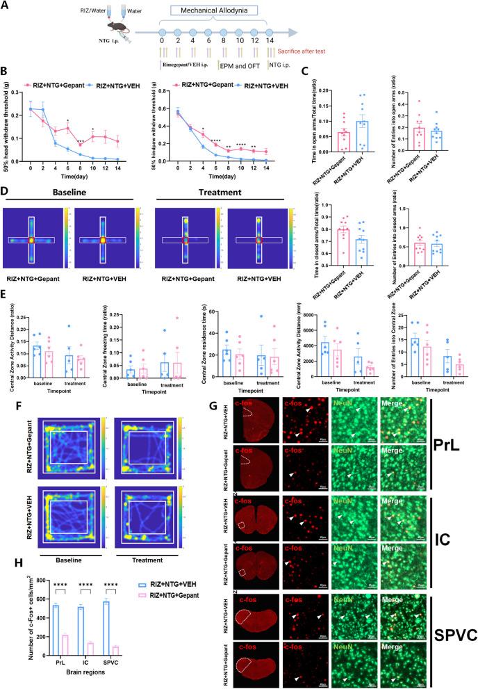https://cdn.ncbi.nlm.nih.gov/pmc/blobs/7b71/12090462/77c1502c011d/10194_2025_2066_Fig4_HTML.jpg