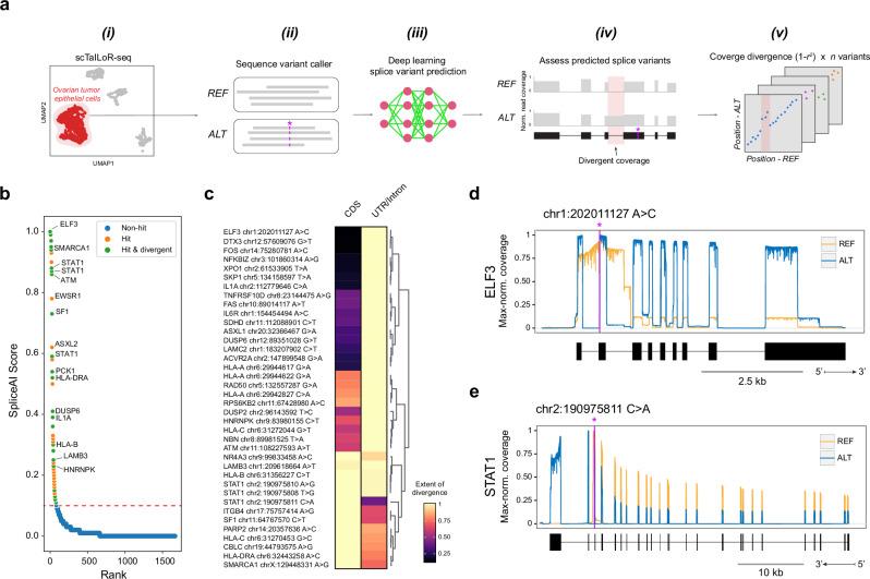 https://cdn.ncbi.nlm.nih.gov/pmc/blobs/7b72/11319652/362e5972e0d5/41467_2024_51252_Fig5_HTML.jpg