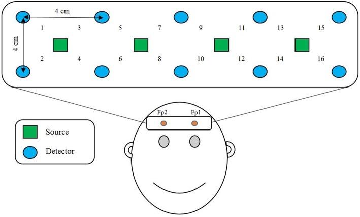 https://cdn.ncbi.nlm.nih.gov/pmc/blobs/7b73/4879140/bc488b0c3560/fnhum-10-00237-g0001.jpg