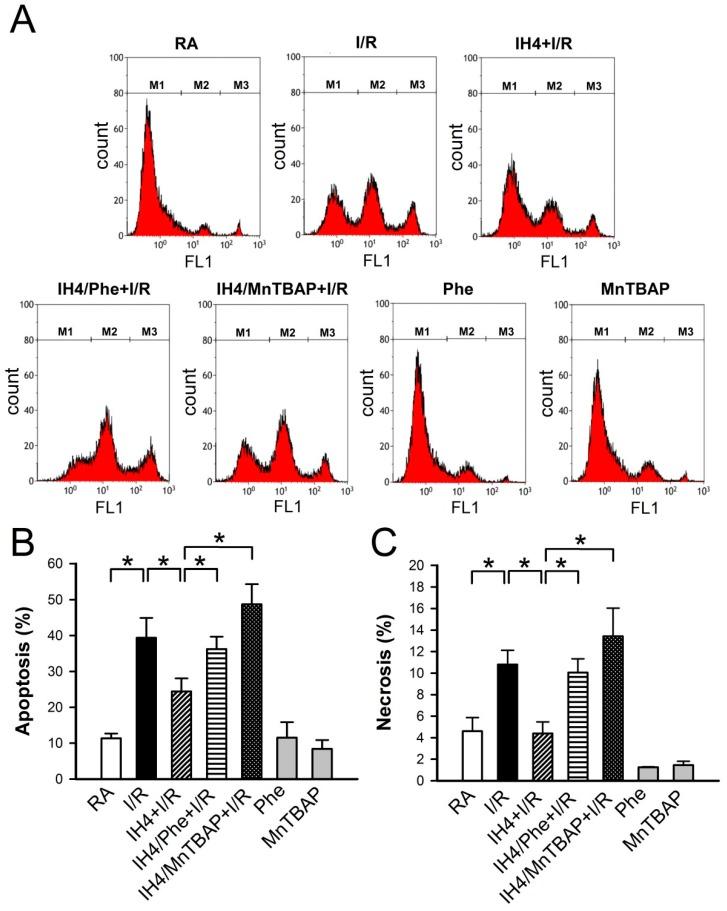 https://cdn.ncbi.nlm.nih.gov/pmc/blobs/7b74/6627395/5a084349064b/cells-08-00564-g006.jpg