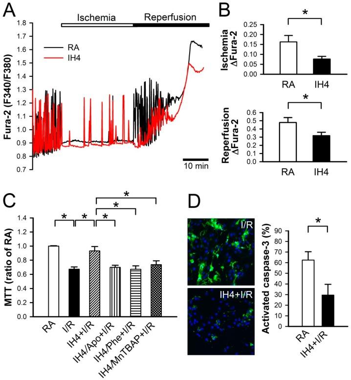 https://cdn.ncbi.nlm.nih.gov/pmc/blobs/7b74/6627395/5f8cb4b2f33e/cells-08-00564-g005.jpg