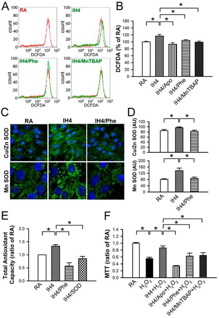 https://cdn.ncbi.nlm.nih.gov/pmc/blobs/7b74/6627395/785f18cb4d7e/cells-08-00564-g004.jpg