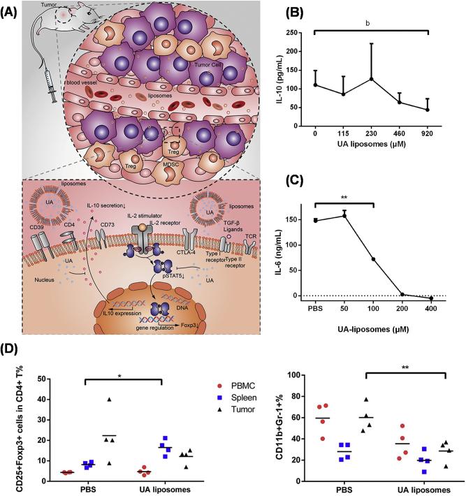 https://cdn.ncbi.nlm.nih.gov/pmc/blobs/7b76/10542882/1a32dadc4349/j_mr-2023-0020_fig_009.jpg