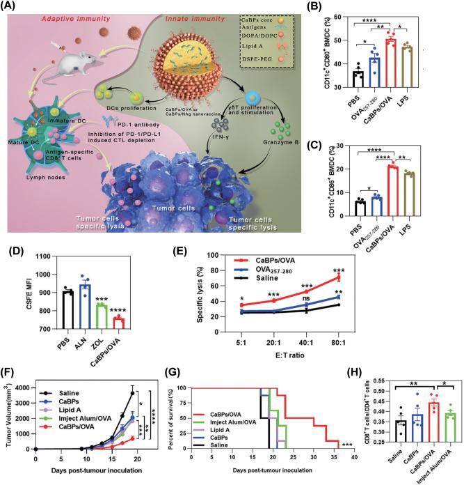 https://cdn.ncbi.nlm.nih.gov/pmc/blobs/7b76/10542882/90dd82f9aa71/j_mr-2023-0020_fig_002.jpg
