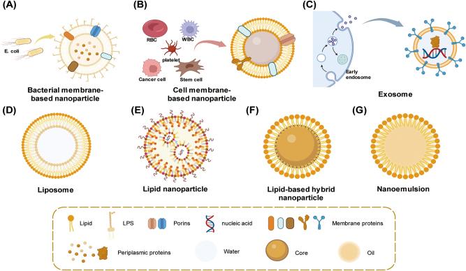 https://cdn.ncbi.nlm.nih.gov/pmc/blobs/7b76/10542882/fe2280f55a01/j_mr-2023-0020_fig_001.jpg