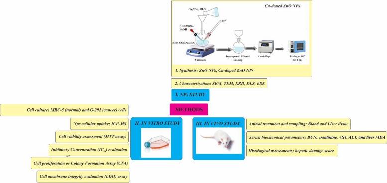 https://cdn.ncbi.nlm.nih.gov/pmc/blobs/7b76/11707944/179939dc0963/12885_2024_13398_Fig1_HTML.jpg