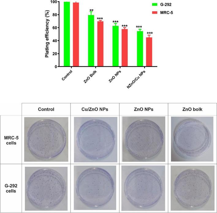 https://cdn.ncbi.nlm.nih.gov/pmc/blobs/7b76/11707944/dd812cf65fe7/12885_2024_13398_Fig6_HTML.jpg