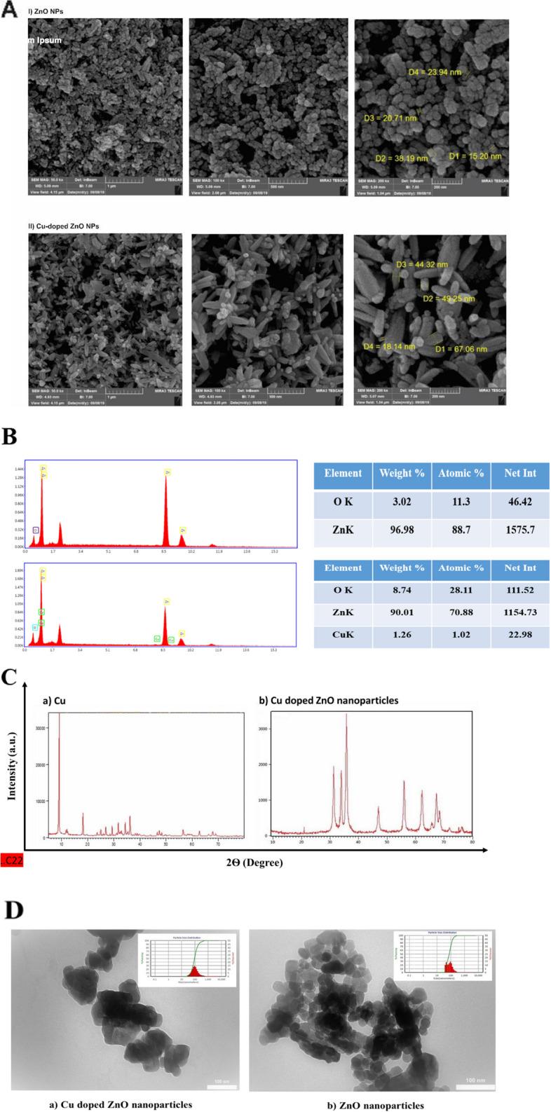 https://cdn.ncbi.nlm.nih.gov/pmc/blobs/7b76/11707944/e509183f7546/12885_2024_13398_Fig2_HTML.jpg