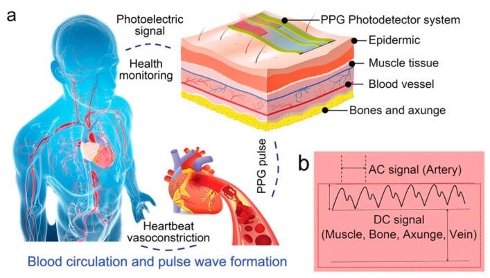 https://cdn.ncbi.nlm.nih.gov/pmc/blobs/7b76/12383305/66a4bfc7b18f/biomimetics-10-00531-g004.jpg