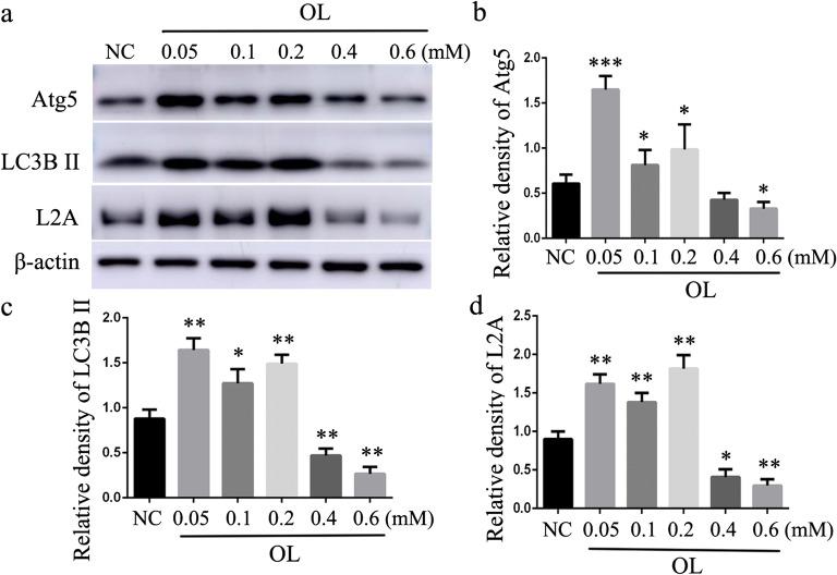 https://cdn.ncbi.nlm.nih.gov/pmc/blobs/7b76/8397667/20e0a679f2fc/12265_2020_9986_Fig2_HTML.jpg