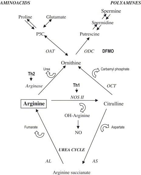 https://cdn.ncbi.nlm.nih.gov/pmc/blobs/7b78/7114858/5769d1a3d00d/gr1.jpg