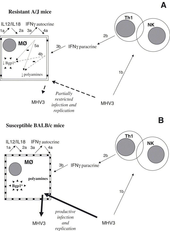 https://cdn.ncbi.nlm.nih.gov/pmc/blobs/7b78/7114858/d85d38c73102/gr6.jpg
