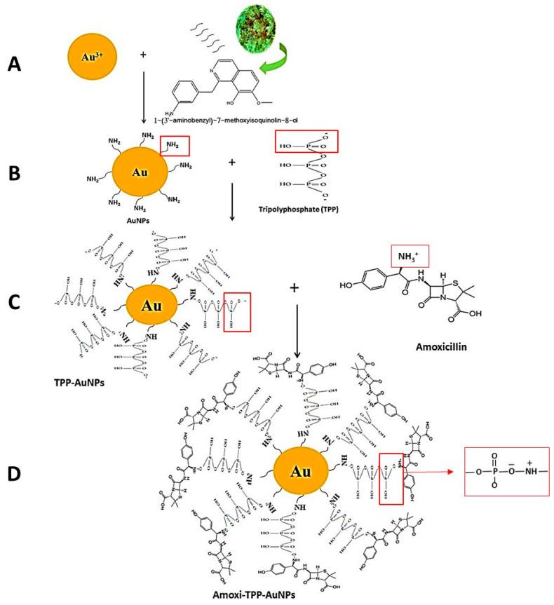 https://cdn.ncbi.nlm.nih.gov/pmc/blobs/7b79/10603918/95e838835ed6/biomimetics-08-00452-g004.jpg