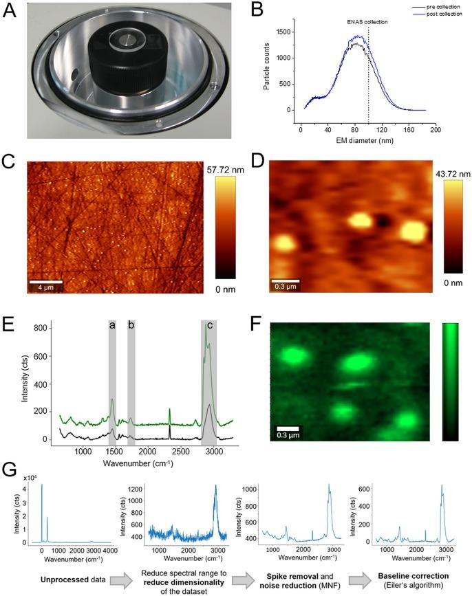 https://cdn.ncbi.nlm.nih.gov/pmc/blobs/7b79/6427476/140f21358fc6/ac-2018-04252x_0001.jpg