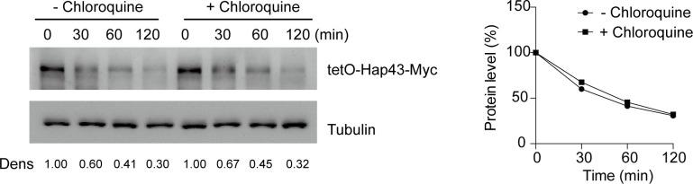 https://cdn.ncbi.nlm.nih.gov/pmc/blobs/7b7b/10259491/26de7e1037ee/elife-86075-fig3-figsupp1.jpg