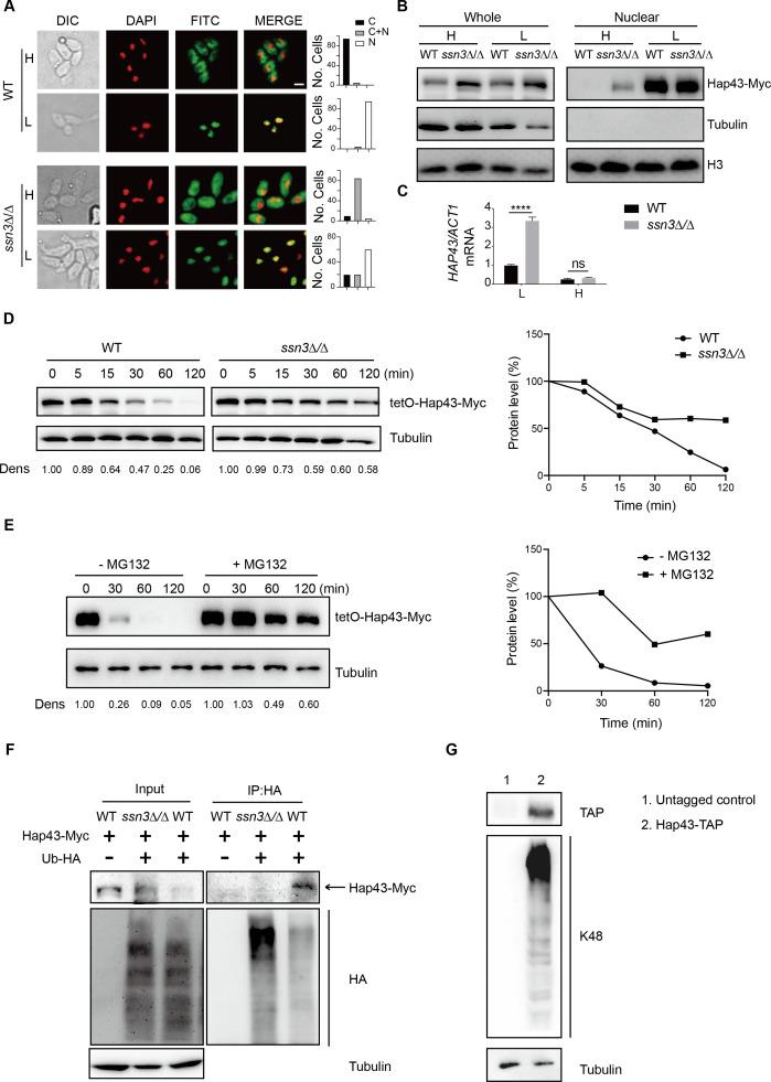 https://cdn.ncbi.nlm.nih.gov/pmc/blobs/7b7b/10259491/58fe9a96866a/elife-86075-fig3.jpg