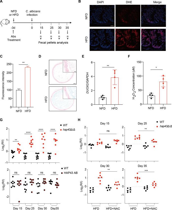 https://cdn.ncbi.nlm.nih.gov/pmc/blobs/7b7b/10259491/89ac4b8f6fc6/elife-86075-fig1.jpg