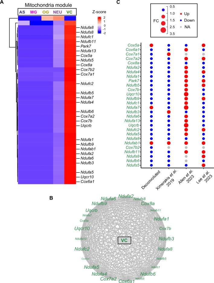 https://cdn.ncbi.nlm.nih.gov/pmc/blobs/7b7b/10558435/ebe7588824f3/41598_2023_44183_Fig5_HTML.jpg