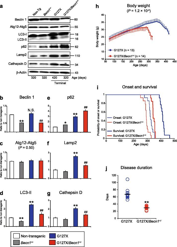 https://cdn.ncbi.nlm.nih.gov/pmc/blobs/7b7b/4727314/22dd21eed548/40478_2016_274_Fig3_HTML.jpg