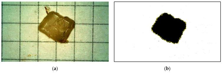 https://cdn.ncbi.nlm.nih.gov/pmc/blobs/7b7c/11313241/8d2259948e03/materials-17-03701-g001.jpg