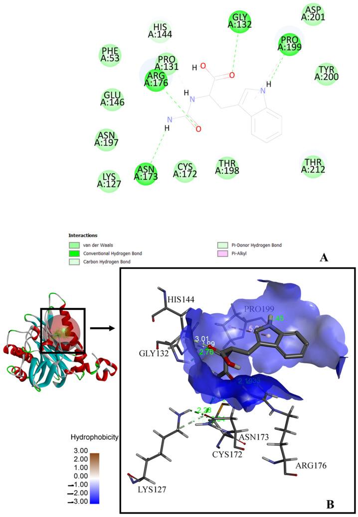 https://cdn.ncbi.nlm.nih.gov/pmc/blobs/7b7d/11503299/848a83af6979/biotech-13-00040-g003.jpg