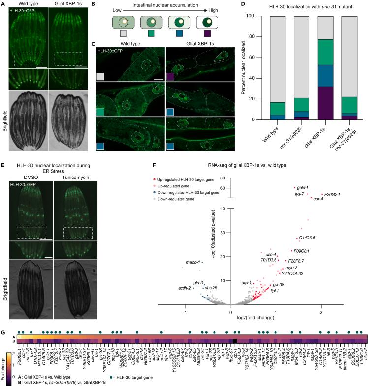 https://cdn.ncbi.nlm.nih.gov/pmc/blobs/7b7f/10946330/5419af78a4ba/gr3.jpg