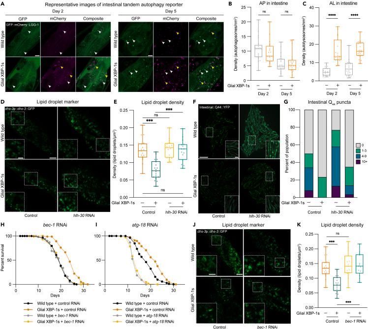 https://cdn.ncbi.nlm.nih.gov/pmc/blobs/7b7f/10946330/e2cbbeb538bc/gr4.jpg