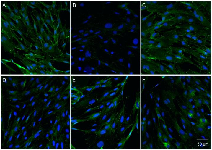 https://cdn.ncbi.nlm.nih.gov/pmc/blobs/7b7f/6225311/3dd9cc4aee48/molecules-23-02371-g008.jpg